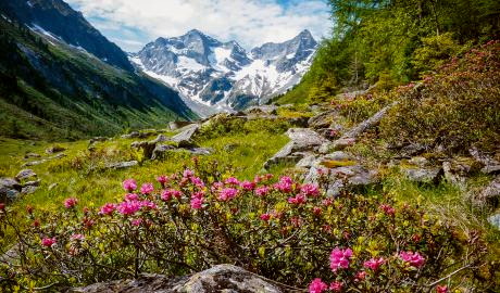 Südtirol – die Sonnenseite der Alpen